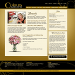 Colours Salon and Day Spa website