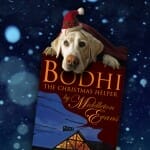 Bookmark: Bodhi the Christmas Helper
