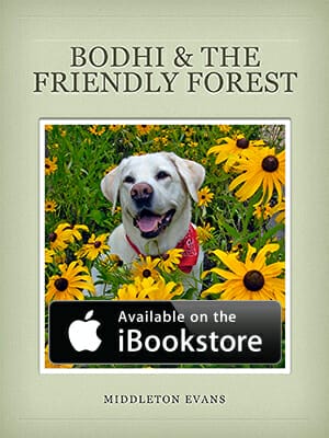 Bodhi & The Friendly Forrest eBook